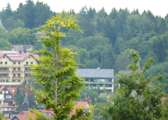 度假居 哈兹豪斯迎宾度假屋 布劳恩拉格