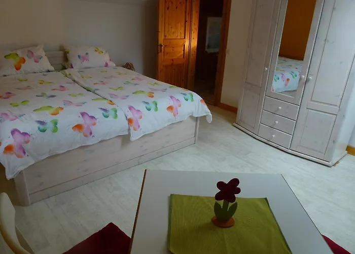 哈兹豪斯迎宾度假屋 * 布劳恩拉格